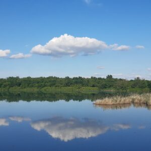 La natura inattesa al Parco Ticino, dal Campo della Promessa ai Vasconi dell’Arno