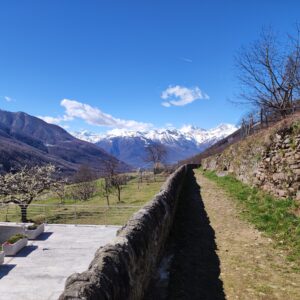 Sulle orme dei mercanti, la via storica del Mercato in Val Vigezzo